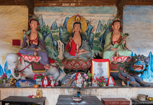 Picture: Binju Dawang Temple 宾居大王庙