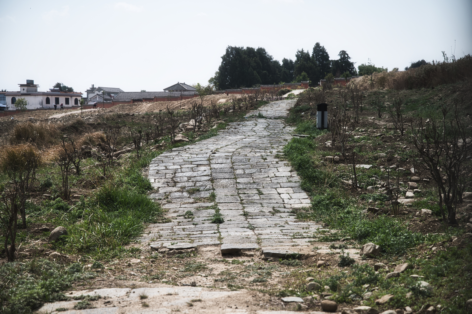 Picture: A stretch of old road inside the Taihe ruin area.