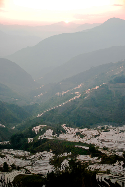 Picture: The Yuanyang Rice Terraces at Tiger Mouth 老虎嘴 in the afternoon sun.