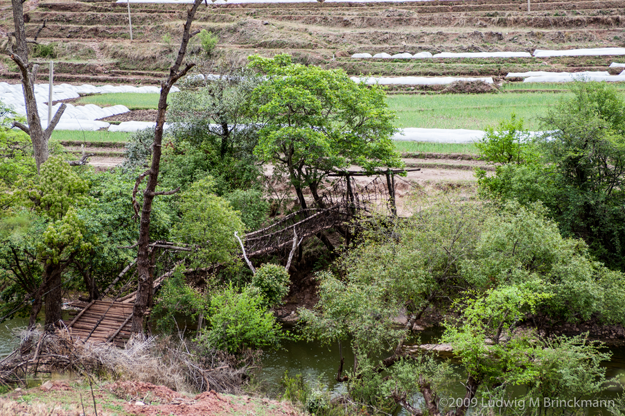 Picture: A traditional rattan bridge over the Bijiang River.