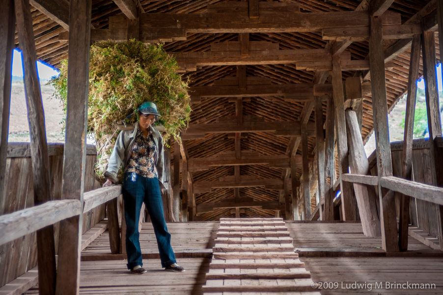 Picture: Wooden covered bridge spanning the Bijiang River.