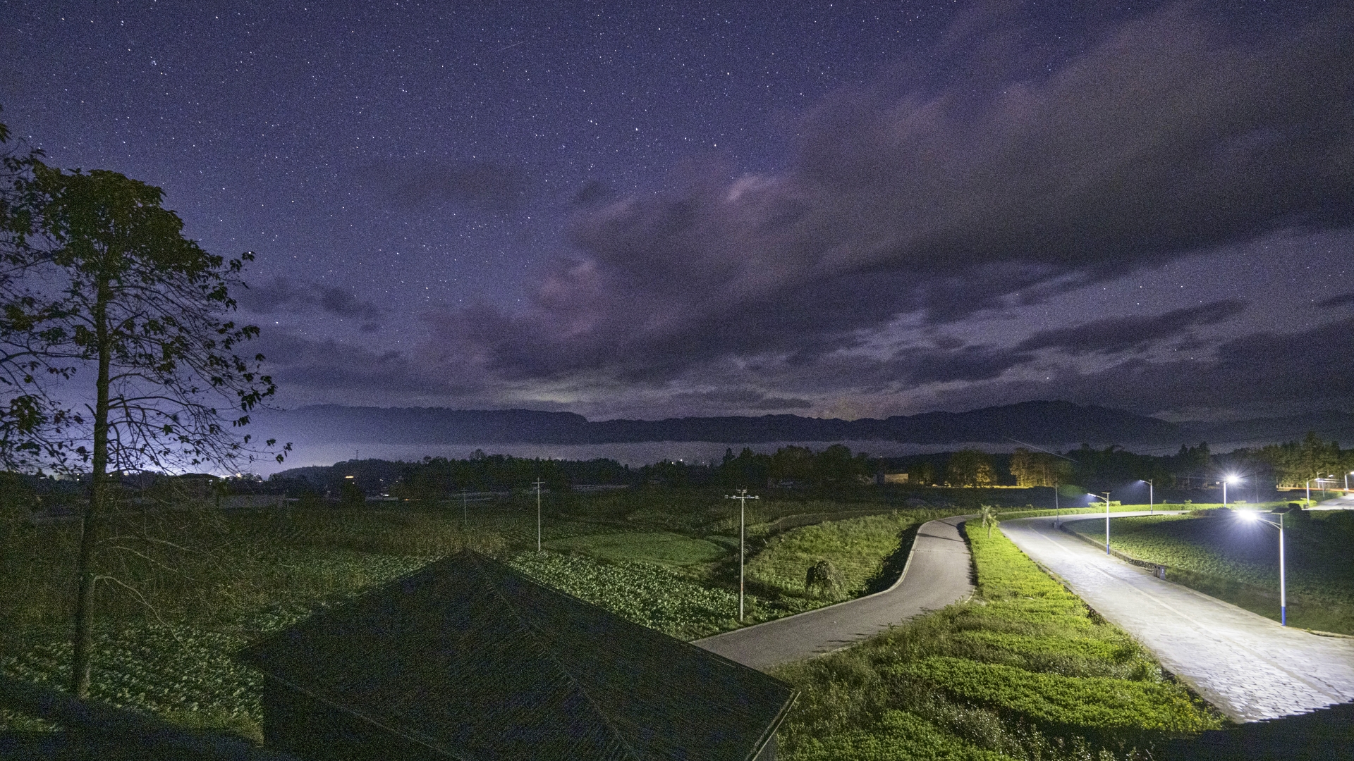 teaser image for  video