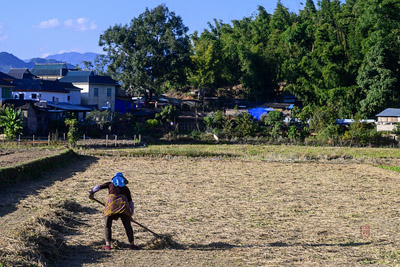 Menglao -- A Dai Village in Winter