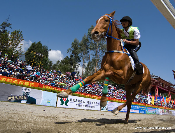 Dali Horse Races