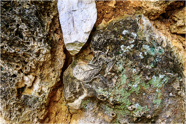 石屏化石村 Shiping Fossil Village