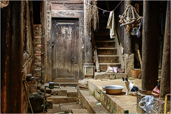 石屏化石村 Shiping Fossil Village