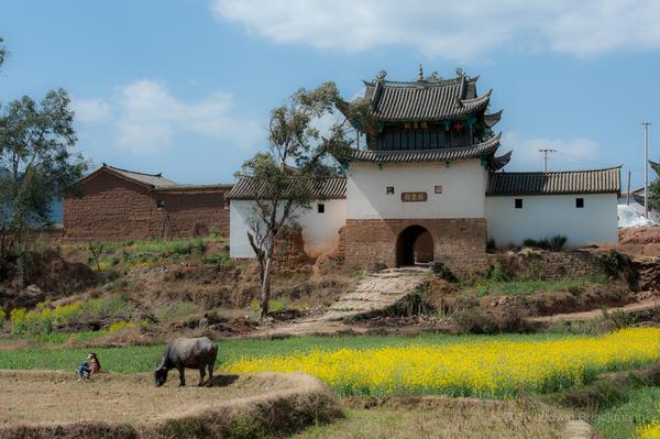 teaser image for On the Road to Dali slides