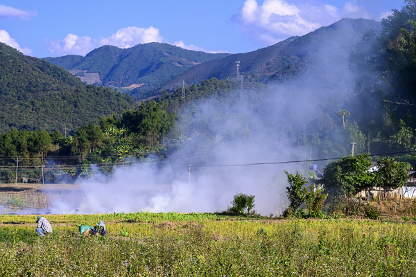 Manglao Village 芒老村