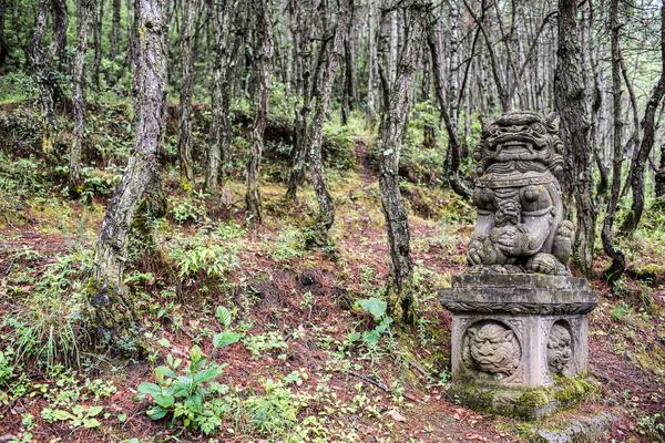 Jianchuan's Thousand Lion Mountain