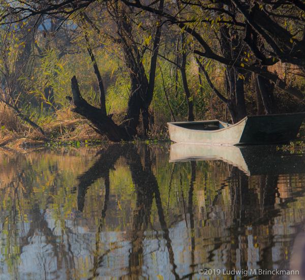 Xihu Reflections